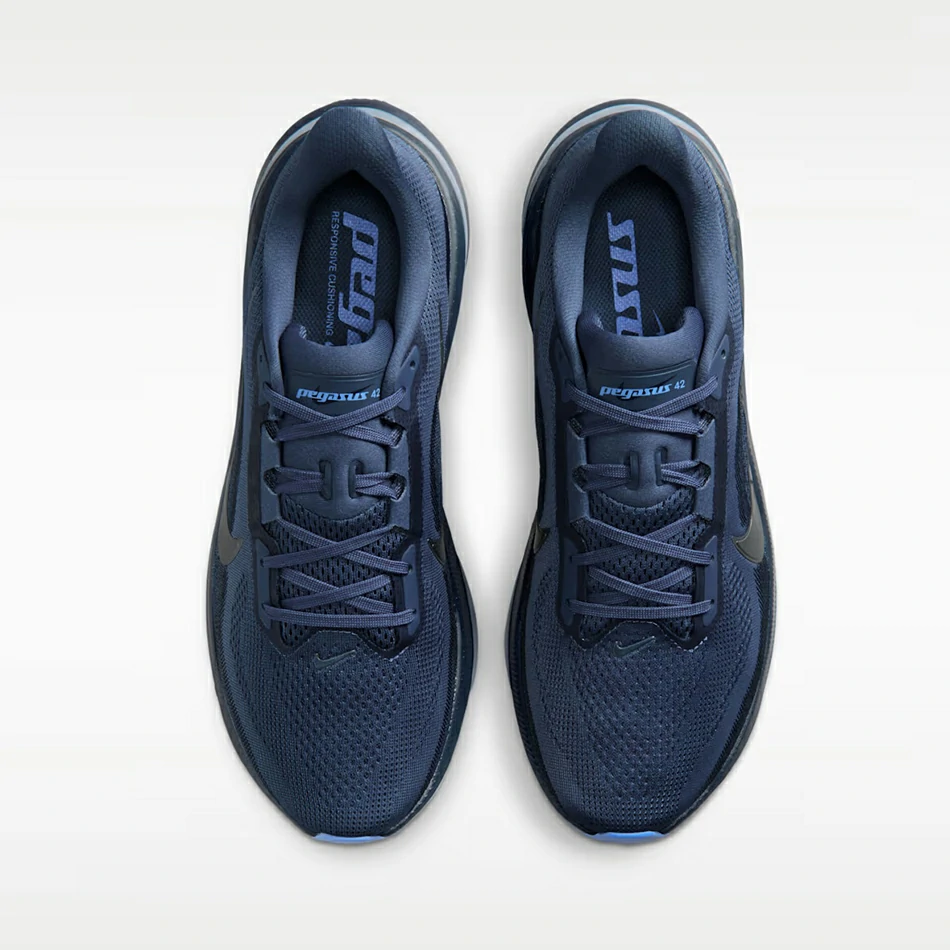 AIR+ZOOM+PEGASUS+42 (10)