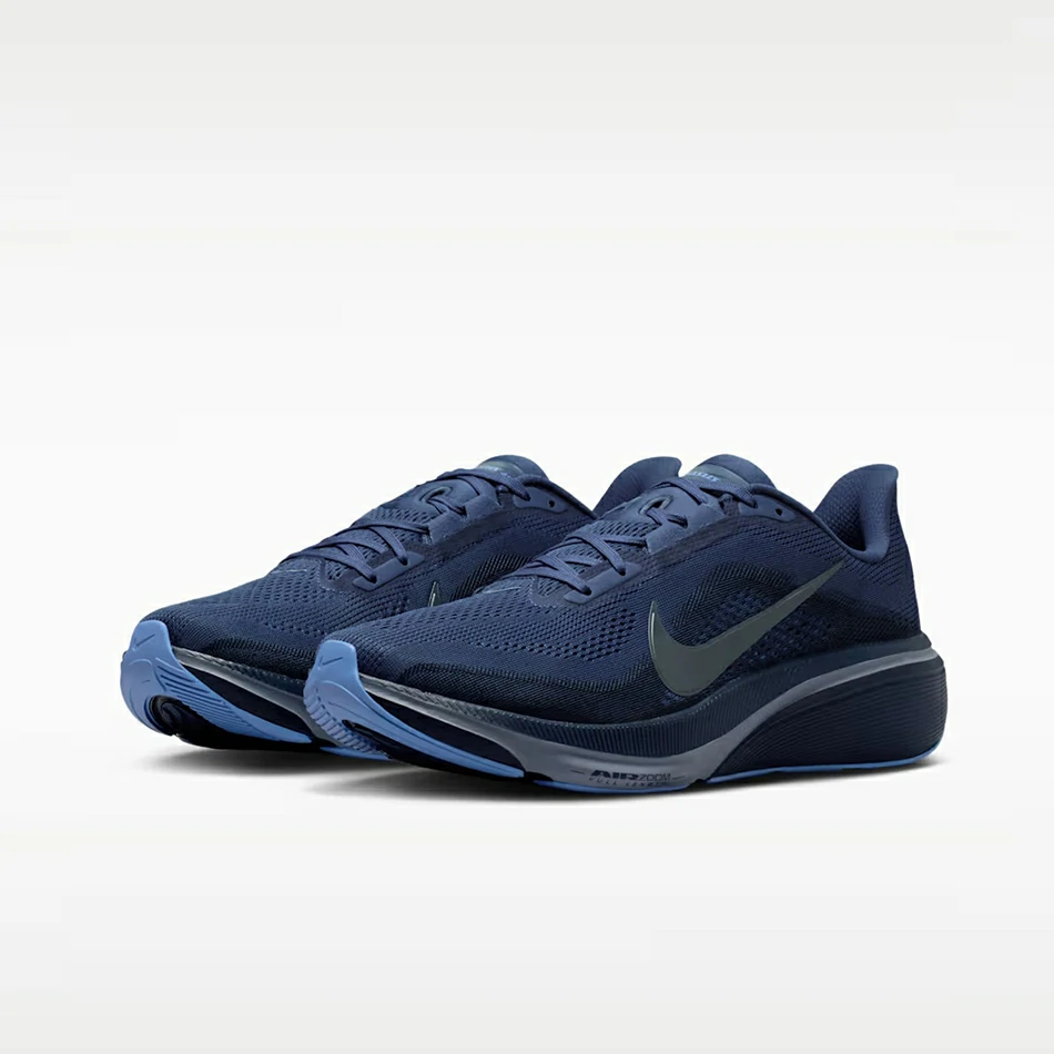 AIR+ZOOM+PEGASUS+42 (11)